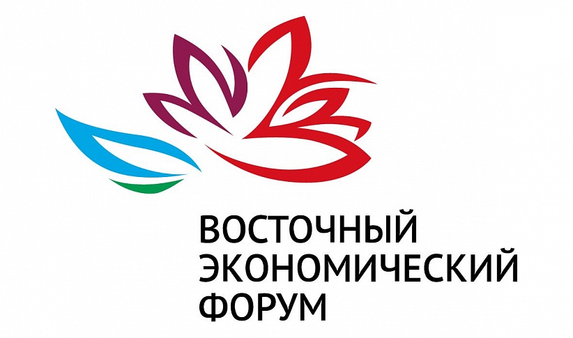 Делегация из Индии примет участие в ВЭФ-2018  